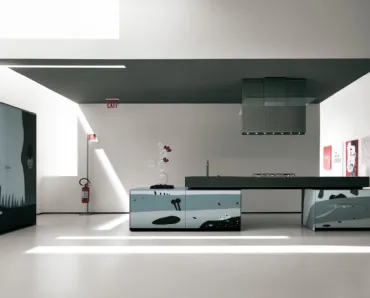 Cucina Design con disegni ad intarsio realizzati su vetro Artematica Vitrum Arte Natura Bianco e Nera di Valcucine